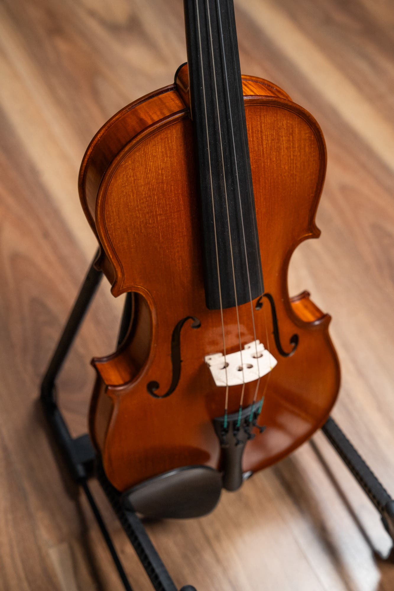 GLIGA VASILE 4/4 SUPERIOR MODEL VIOLIN - W/OPAL GOLD STRINGS (VIOLIN ONLY)