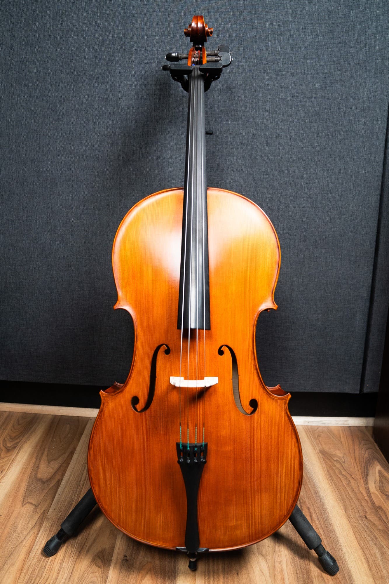 Gliga Vasile Advanced 4/4 Cello Only