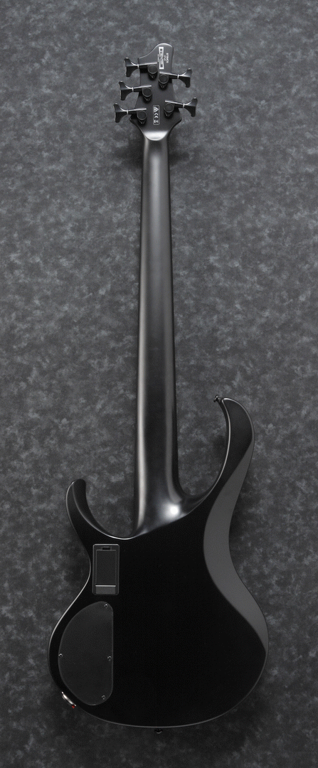 Ibanez Iron Label BTB625EX 5-String Bass - Black Flat