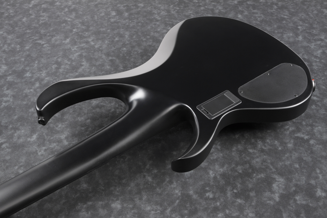 Ibanez Iron Label BTB625EX 5-String Bass - Black Flat