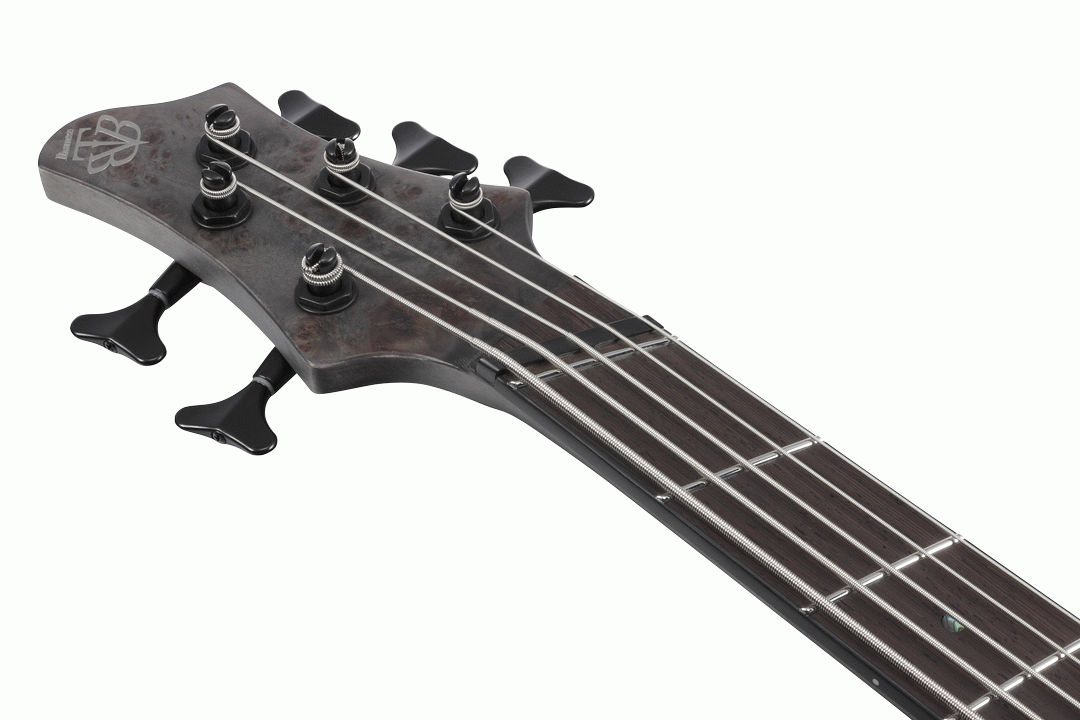 Ibanez BTB805MS TGF 5-String Multi-Scale Electric Bass - Transparent Gray Flat