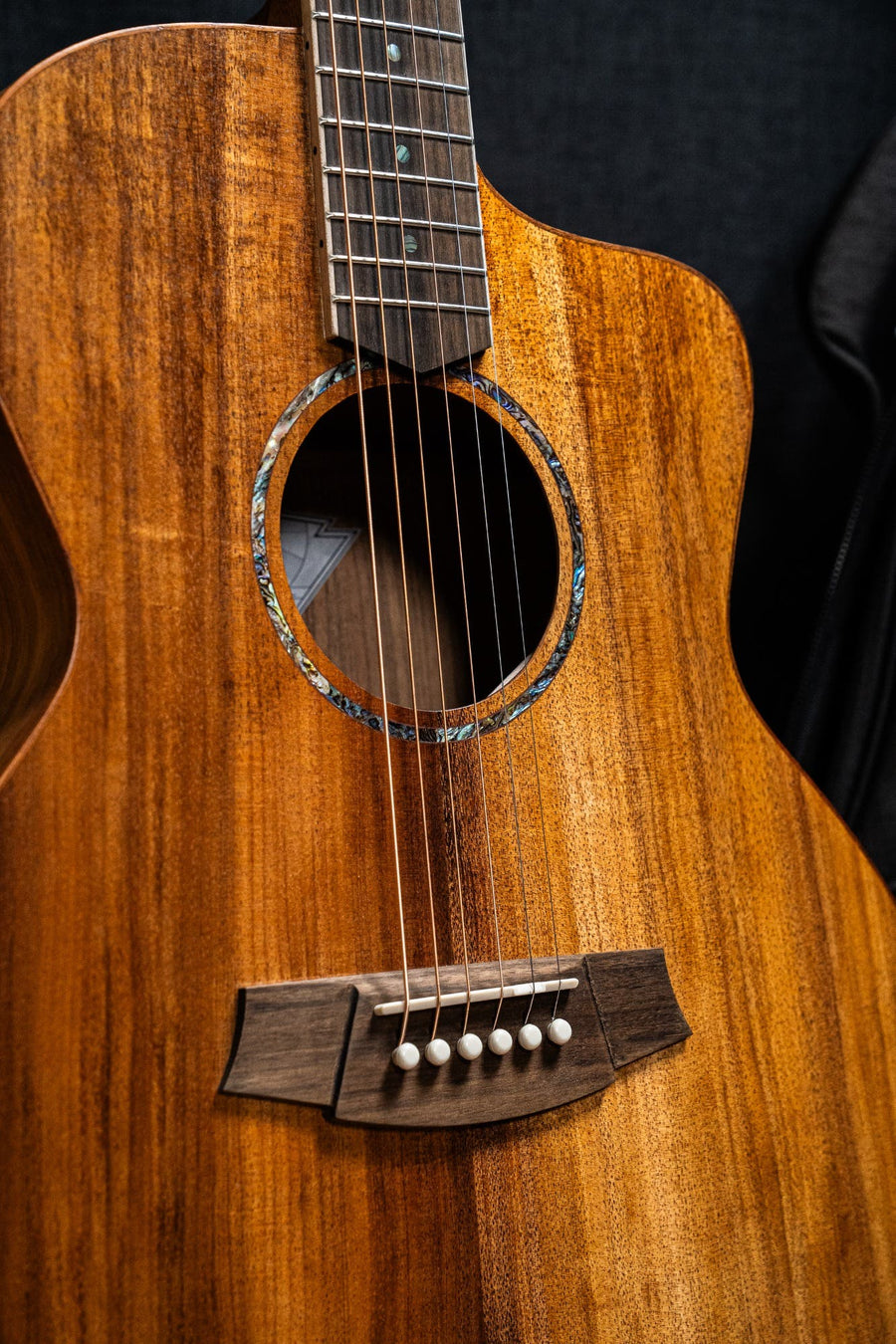 Cole Clark CCSAN1EC-BLBL Studio GA Acoustic Guitar - Blackwood