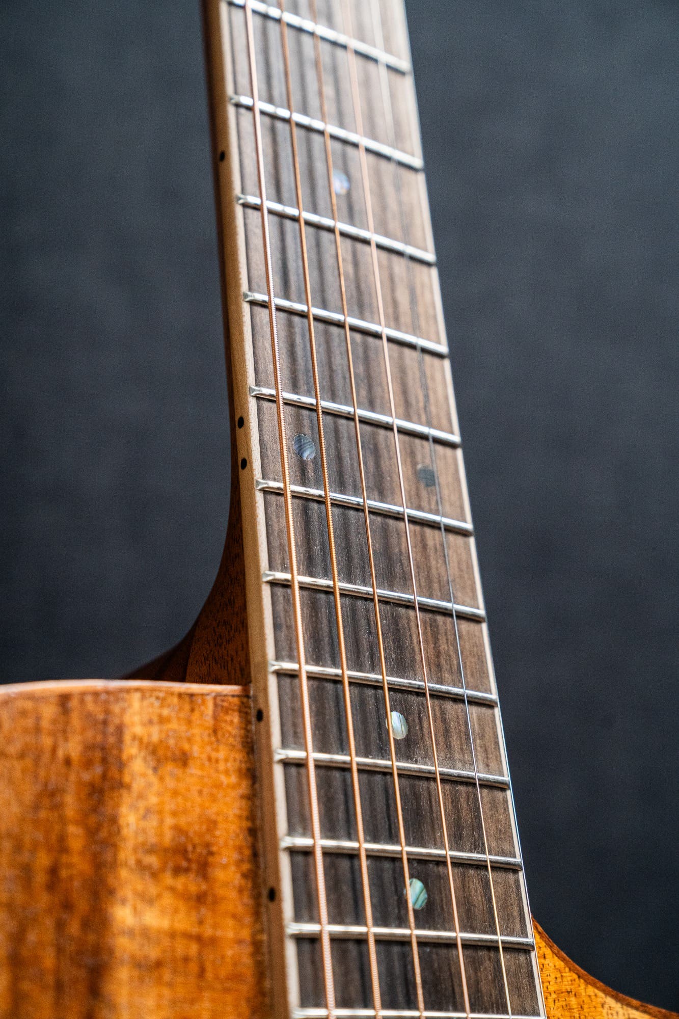 Cole Clark CCSAN1EC-BLBL Studio GA Acoustic Guitar - Blackwood