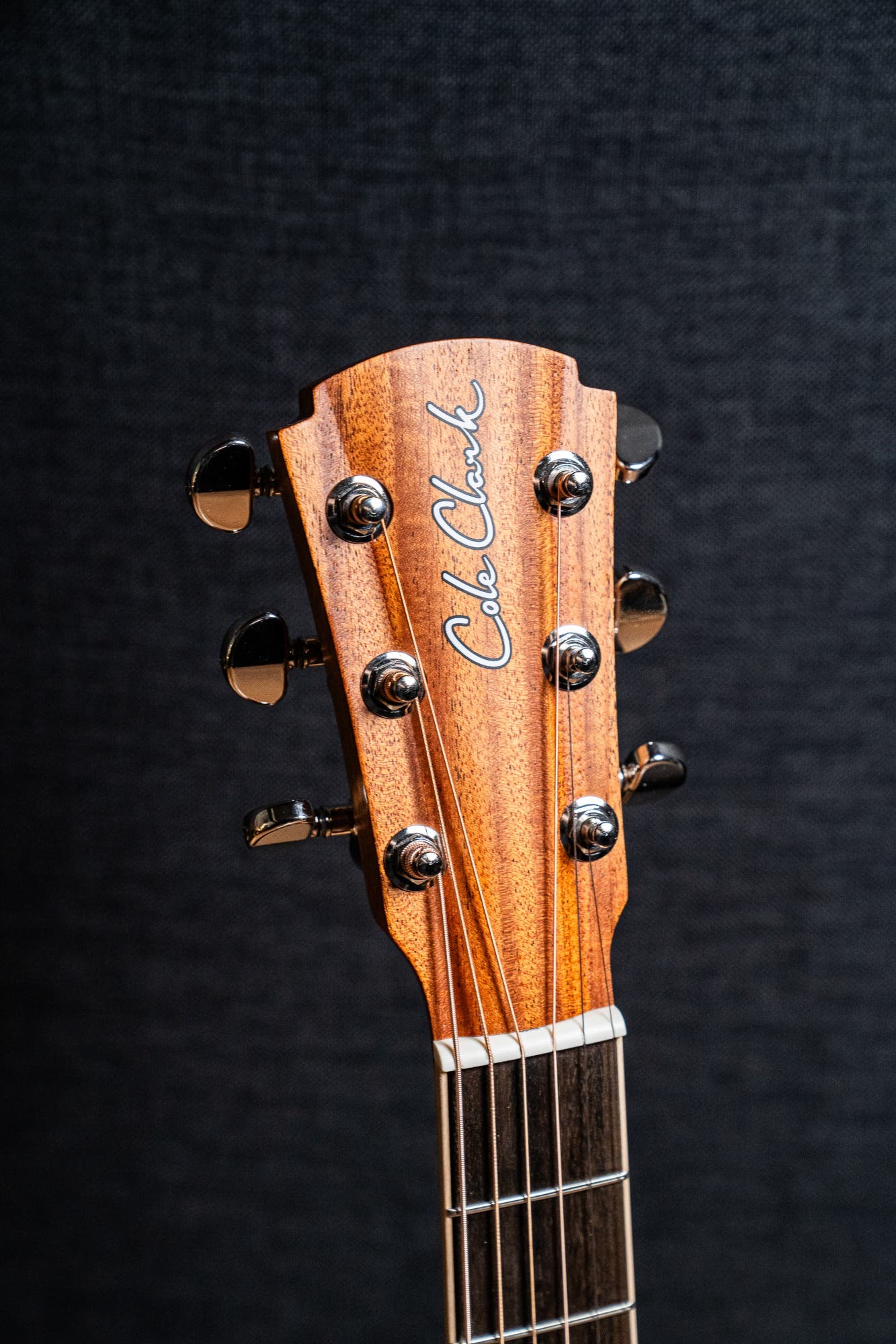 Cole Clark CCSAN1EC-BLBL Studio GA Acoustic Guitar - Blackwood