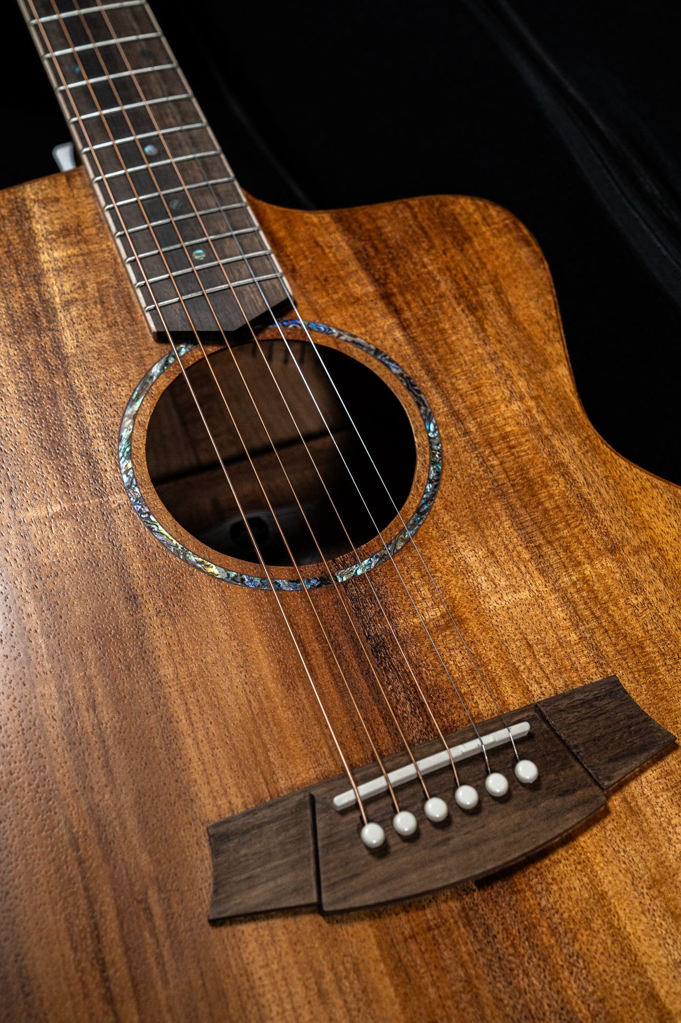 Cole Clark CCSAN1EC-BLBL Studio GA Acoustic Guitar - Blackwood