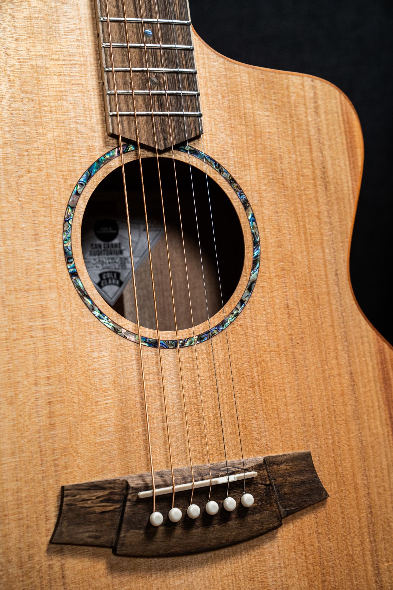 Cole Clark CCSAN1EC-BM Studio GA Acoustic Guitar - Bunya / Maple