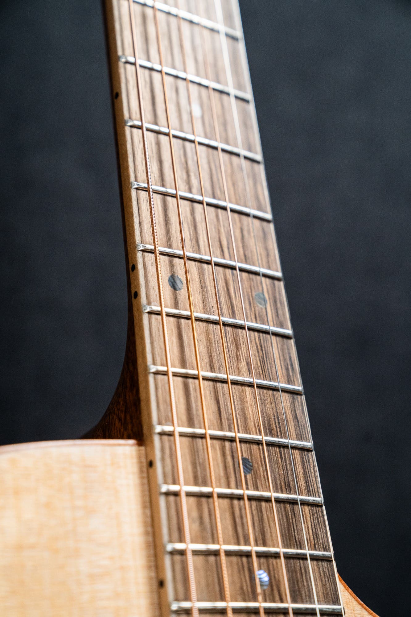 Cole Clark CCSAN1EC-BM Studio GA Acoustic Guitar - Bunya / Maple