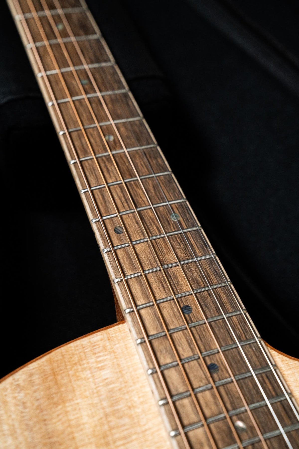 Cole Clark CCSAN1EC-BM Studio GA Acoustic Guitar - Bunya / Maple
