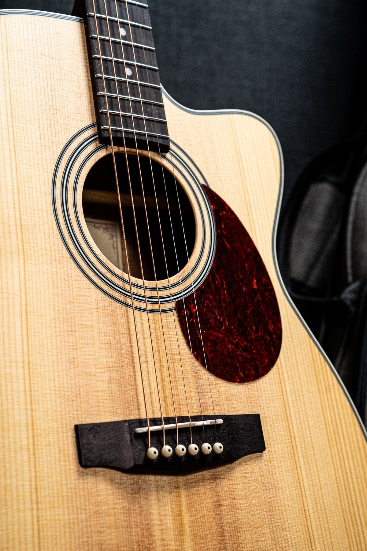 Cort L500E Acoustic Electric Guitar Package w/Gigbag - Open Pore Natural