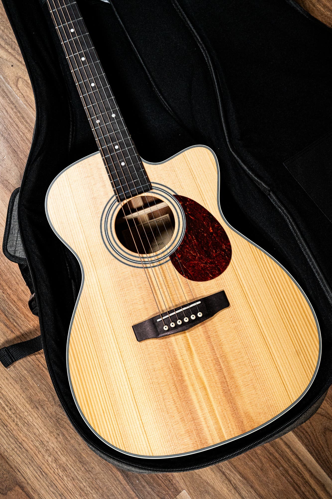 Cort L500E Acoustic Electric Guitar Package w/Gigbag - Open Pore Natural