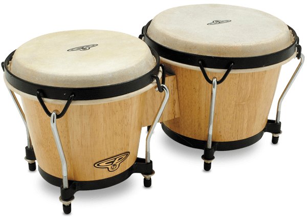 Latin Percussion LP CP Traditional Bongos (CP221-AW)