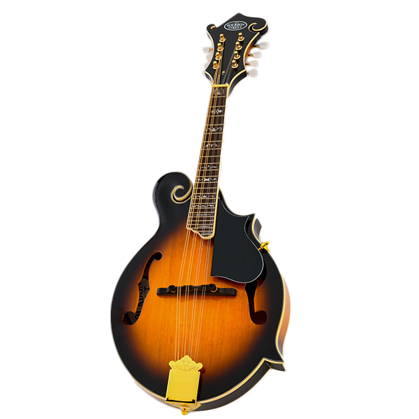 Bourbon Street DFM-70VS F-Shape Mandolin w/Case