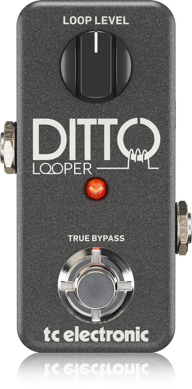 TC Electronic Ditto Looper Pedal
