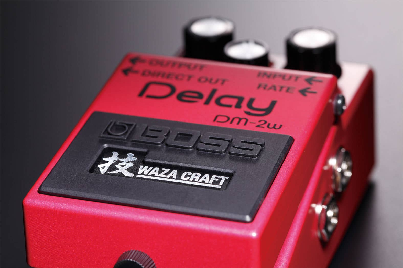 Boss DM-2W Delay Waza Craft Special Edition (DM2W)