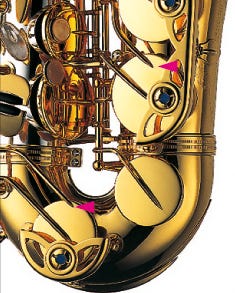 Professional Alto S/Silver Neck/Body