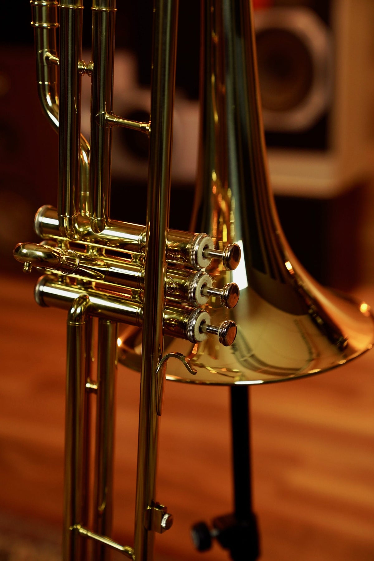 Schagerl SLVTB700 Valve Trombone
