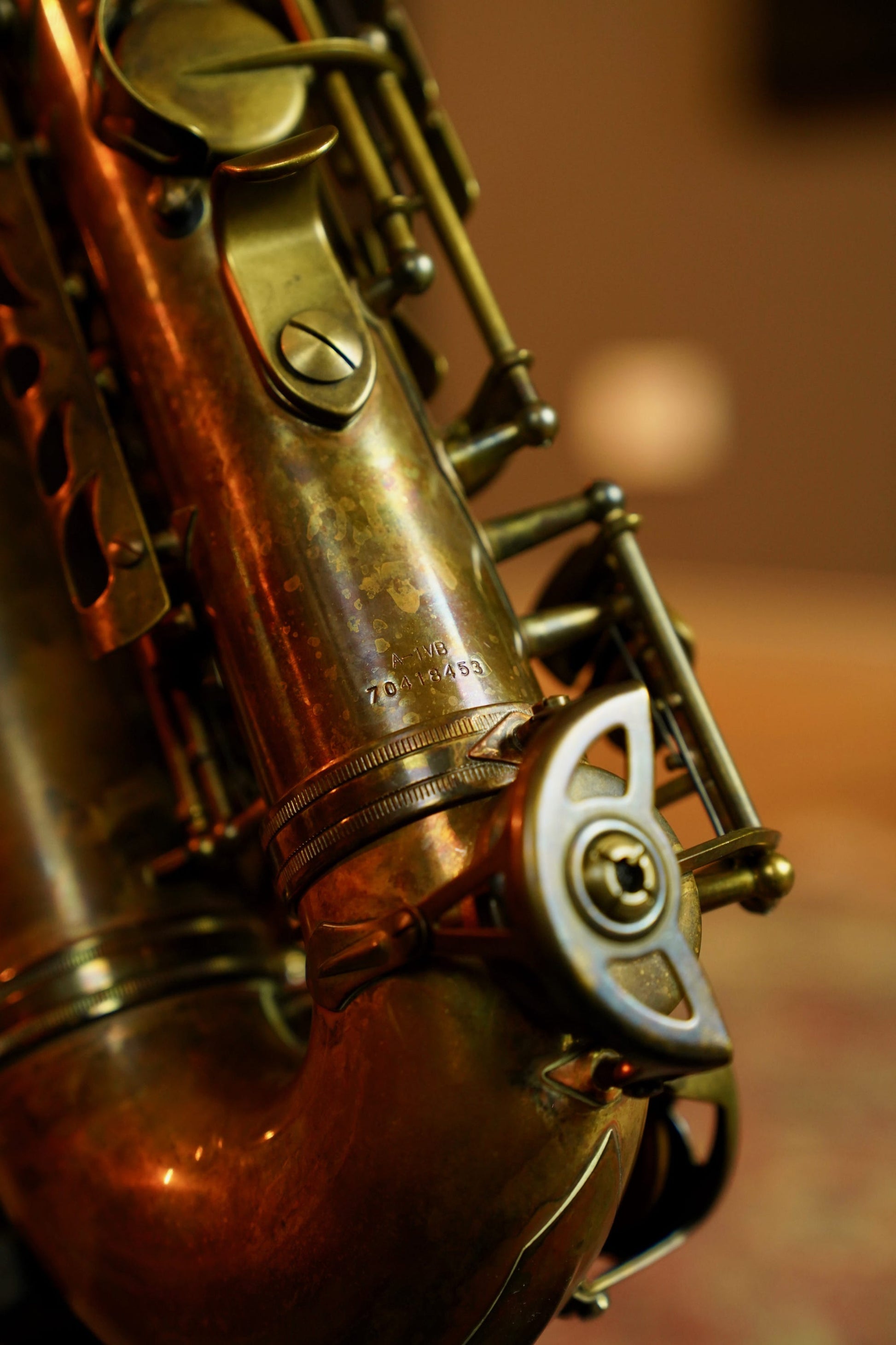 Schagerl Superior Vintage Bronze Alto Saxophone (SLA-1VB)