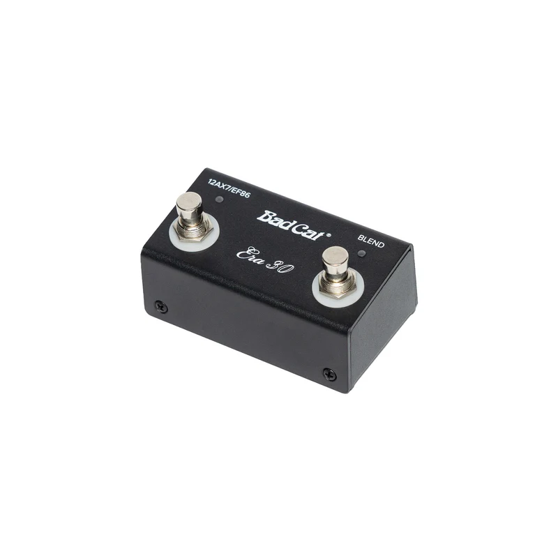Bad Cat ERA 30 Guitar Amp Head - Gray / Silver Piping