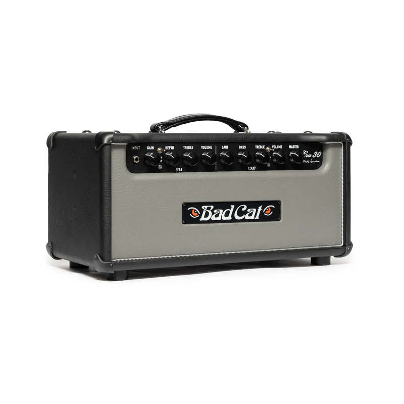 Bad Cat ERA 30 Guitar Amp Head - Gray / Silver Piping