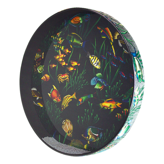 Remo Ocean Drum 22" Fish Graphic