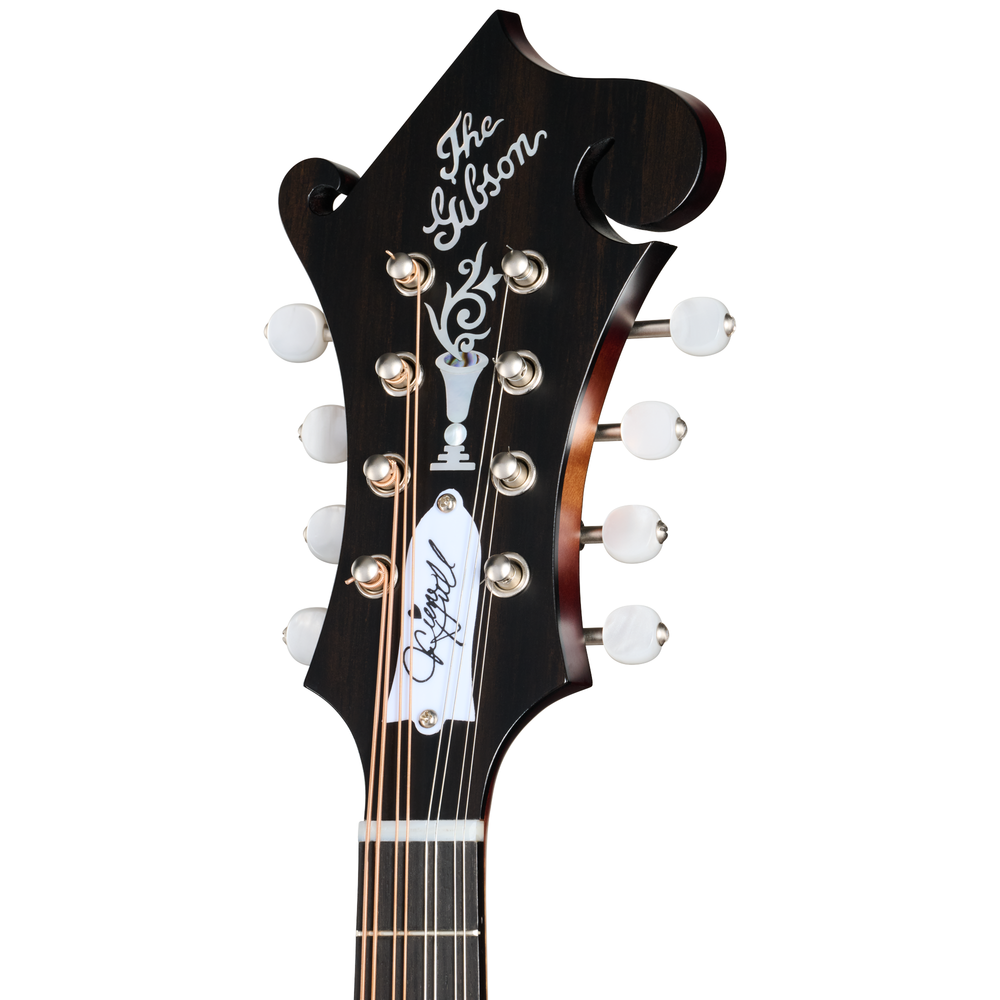 Gibson Sierra Hull F-5G - Sierra Burst VOS Varnish