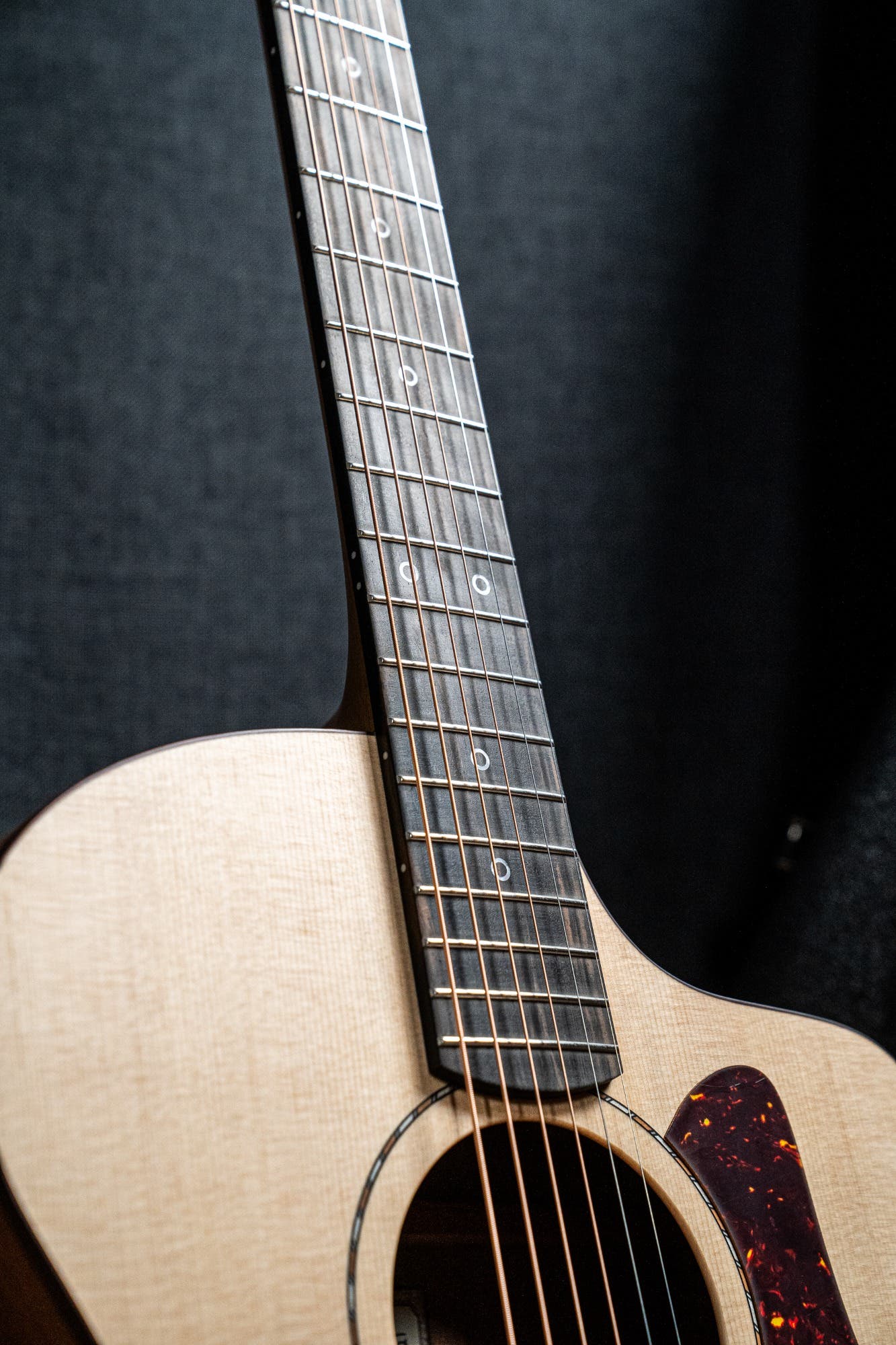 Fenech Guitars VT GAc Acoustic Electric Guitar w/Case - Blackwood