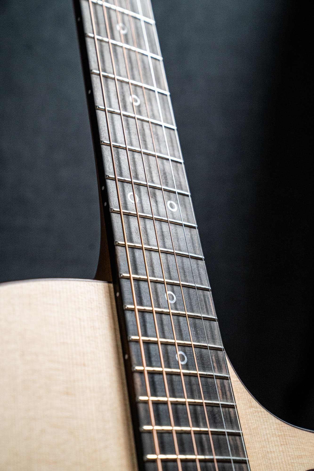 Fenech Guitars VT GAc Acoustic Electric Guitar w/Case - Blackwood