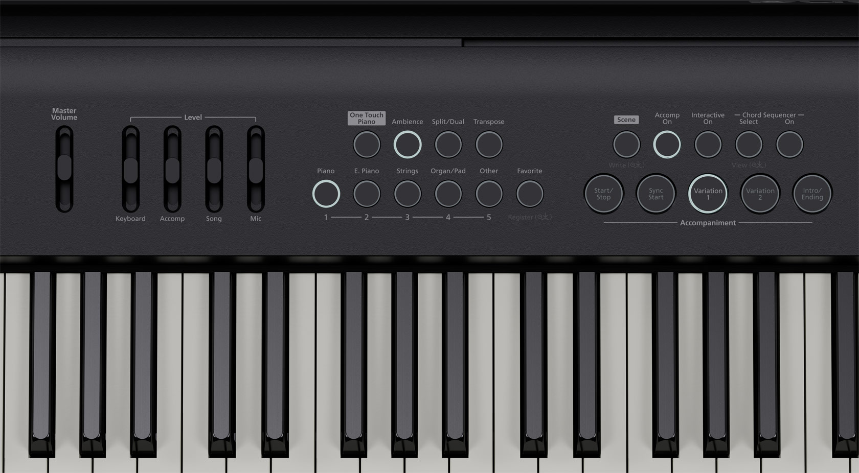 Roland FPE50BKS Entertainment Piano Bundle - Black