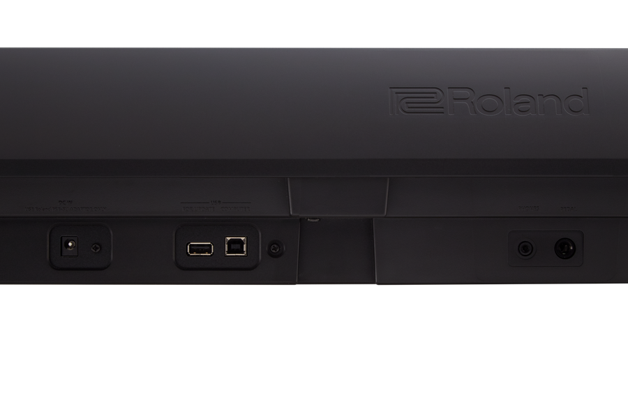 Roland FP-10 Portable Digital Piano - Black (FP10)