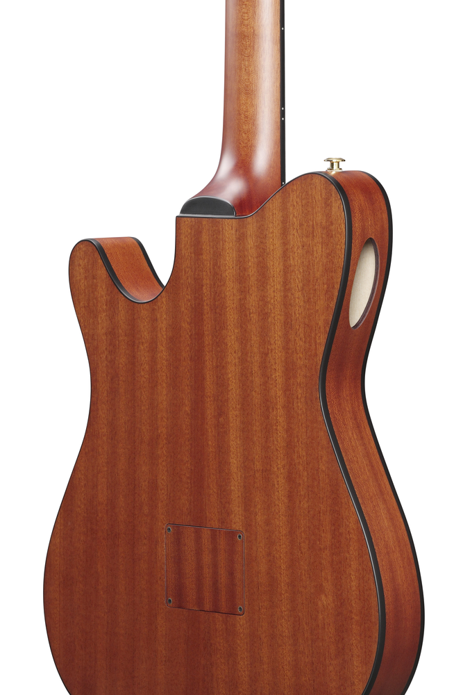 Ibanez FRH10N Nylon String Guitar - Rose Gold Metallic Flat