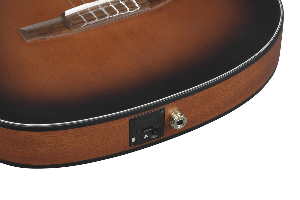 Ibanez FRH10N LH Nylon String Guitar - Left Handed - Brown Sunburst Flat