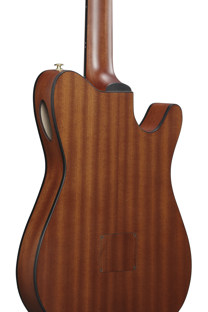 Ibanez FRH10N LH Nylon String Guitar - Left Handed - Brown Sunburst Flat