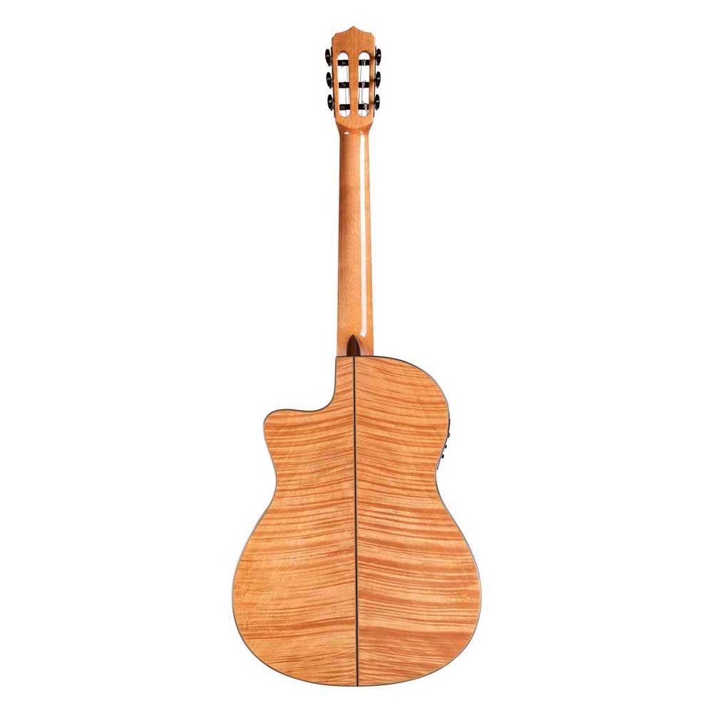 Cordoba Fusion 14 Maple Classical Guitar w/Pickup