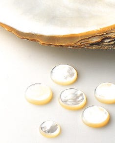 Professional Alto S/Silver Neck/Body