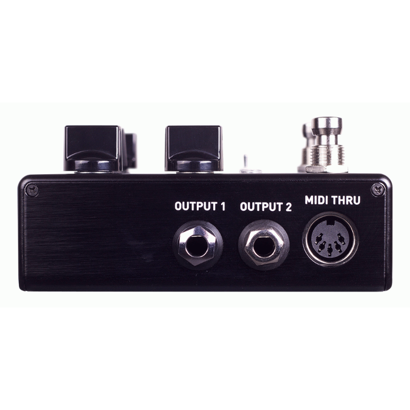 Source Audio Encounter Ambient Delay / Reverb Effects Pedal