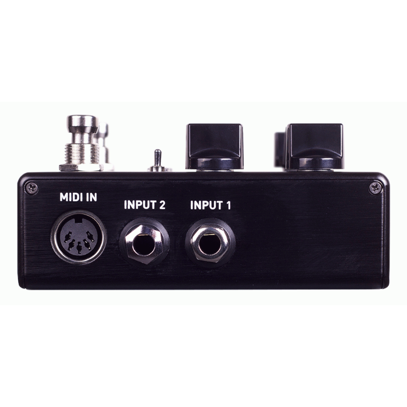 Source Audio Encounter Ambient Delay / Reverb Effects Pedal