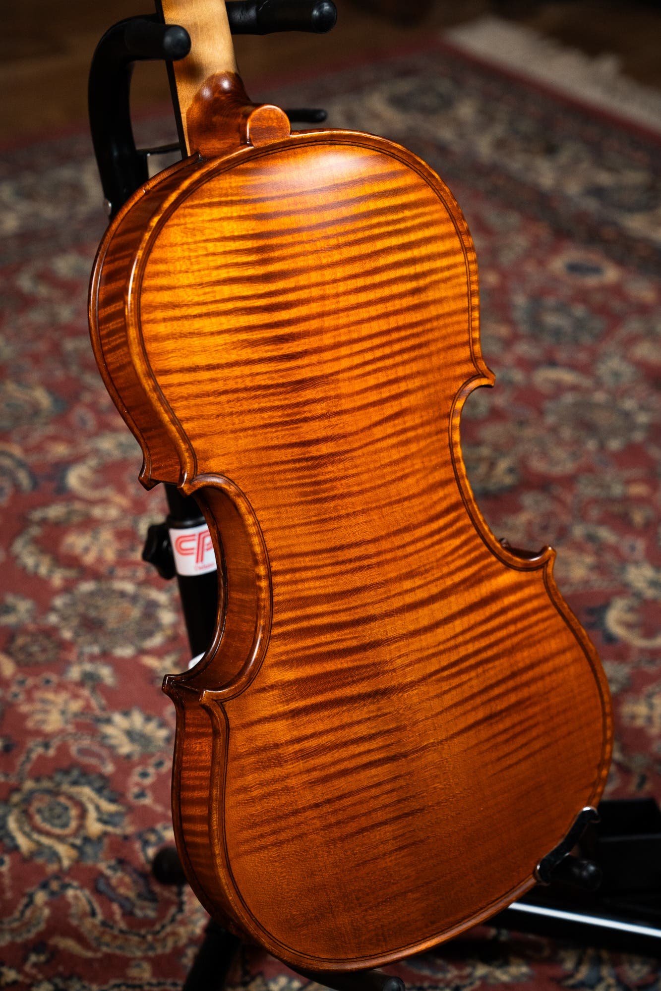GLIGA 4/4 VASILE  SUPERIOR ITALY 1PC BACK PROFESSIONAL SETUP W/OPAL GOLD STRINGS (VIOLIN ONLY)