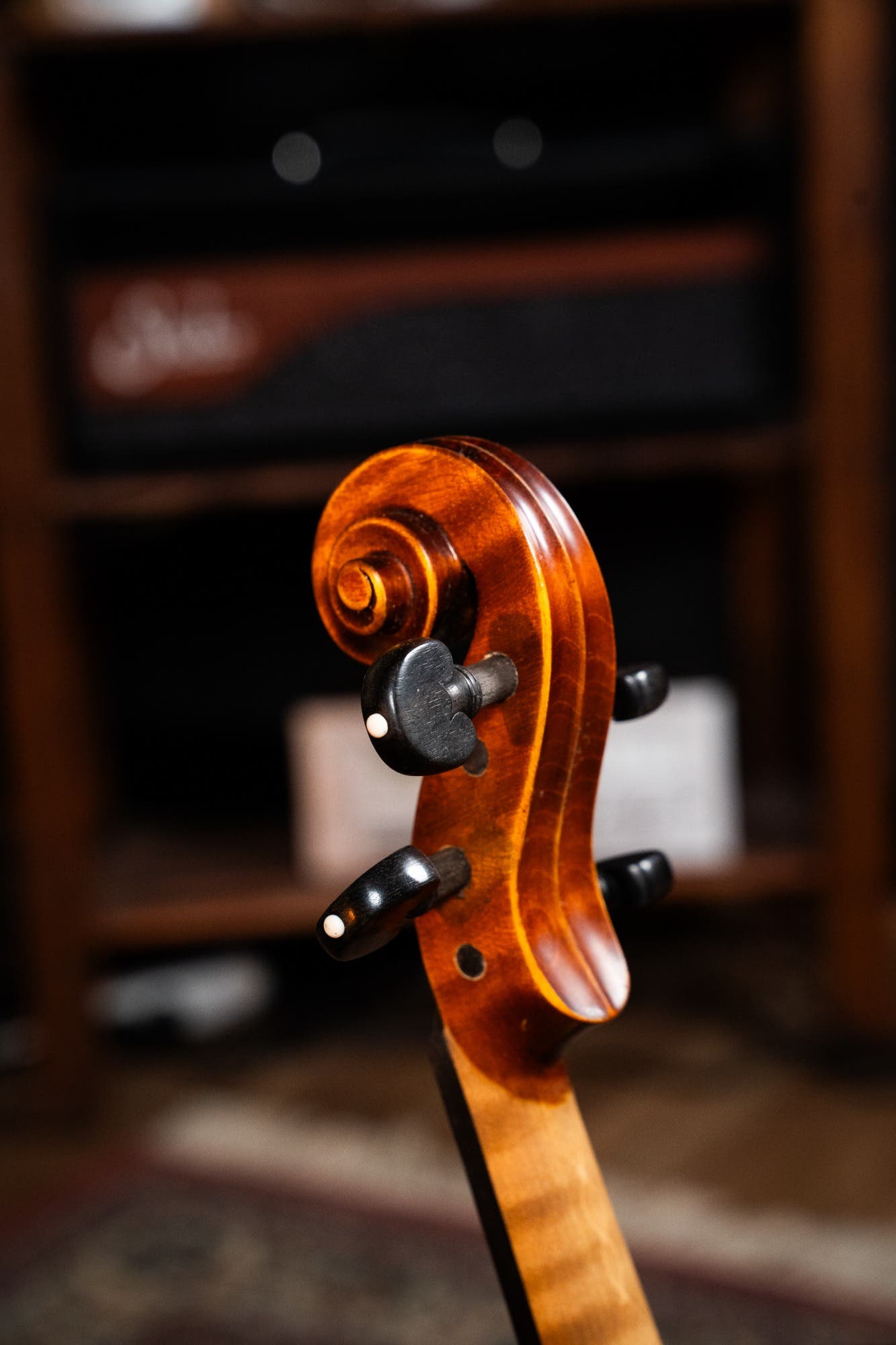 GLIGA 4/4 VASILE  SUPERIOR ITALY 1PC BACK PROFESSIONAL SETUP W/OPAL GOLD STRINGS (VIOLIN ONLY)