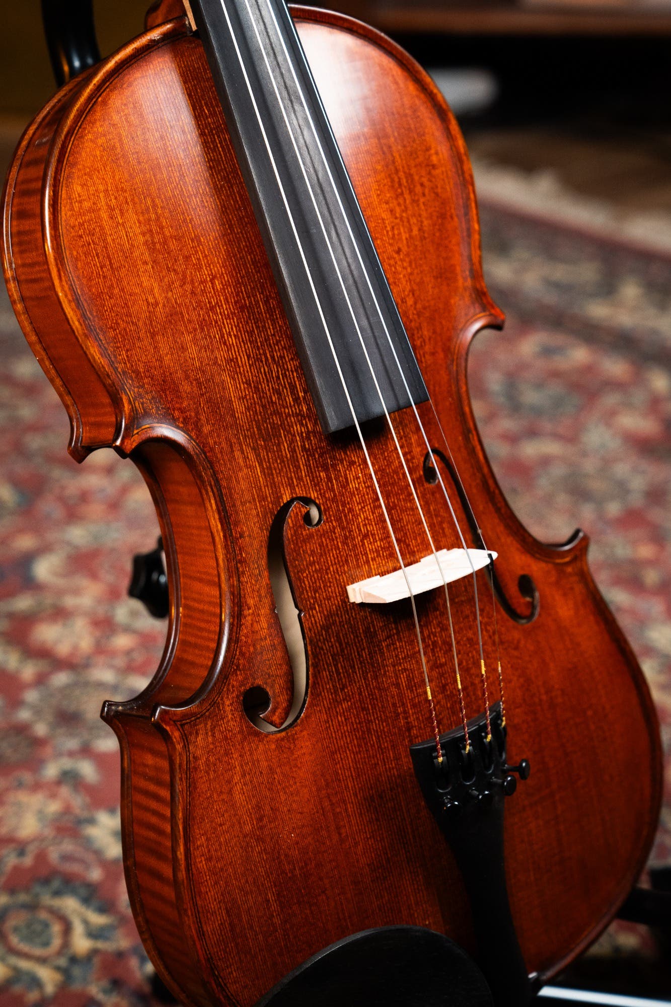 GLIGA 4/4 VASILE NO 5 VIOLIN PROFESSIONAL SETUP W/OPAL GOLD STRINGS (VIOLIN ONLY)