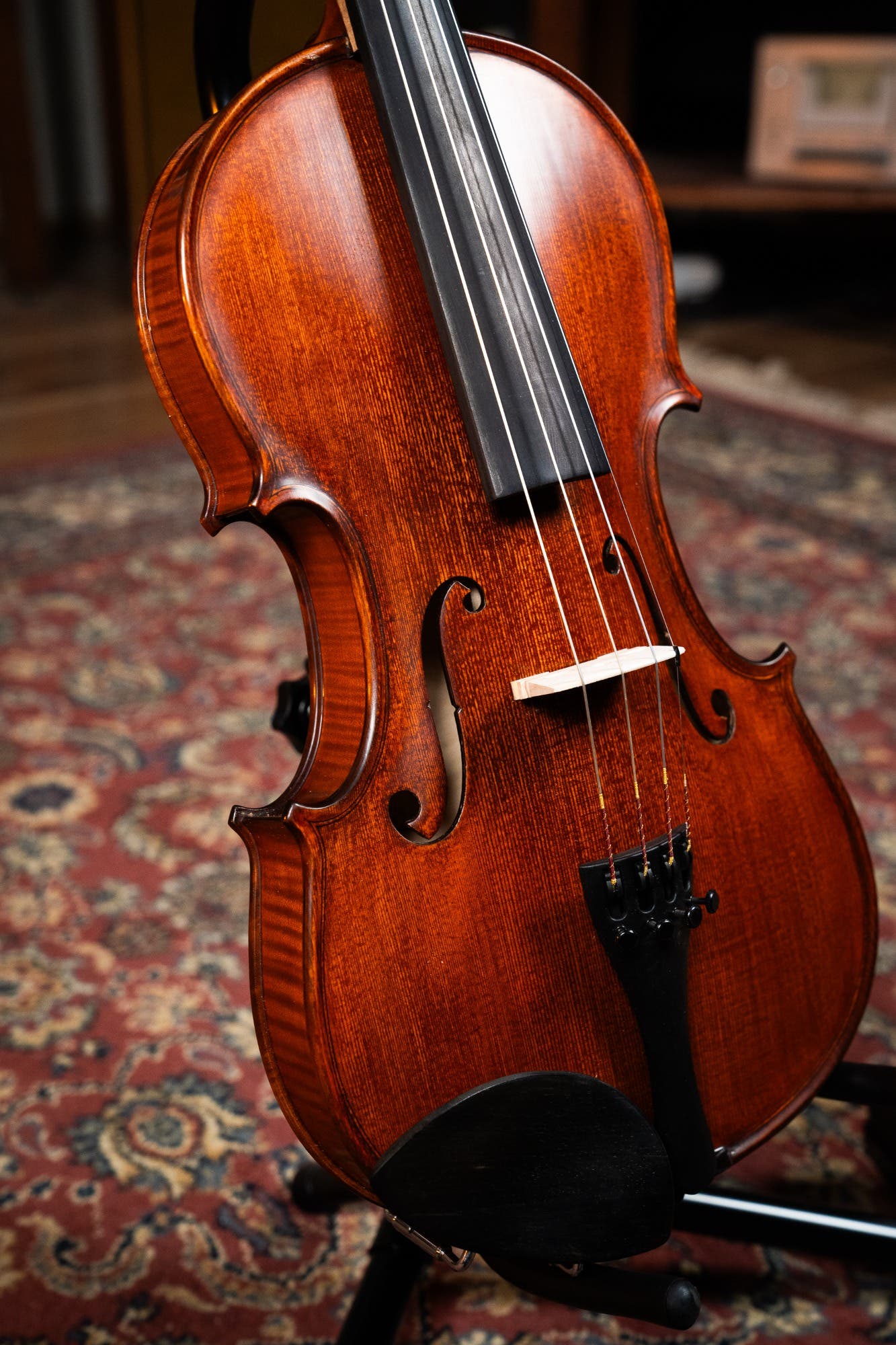 GLIGA 4/4 VASILE NO 5 VIOLIN PROFESSIONAL SETUP W/OPAL GOLD STRINGS (VIOLIN ONLY)