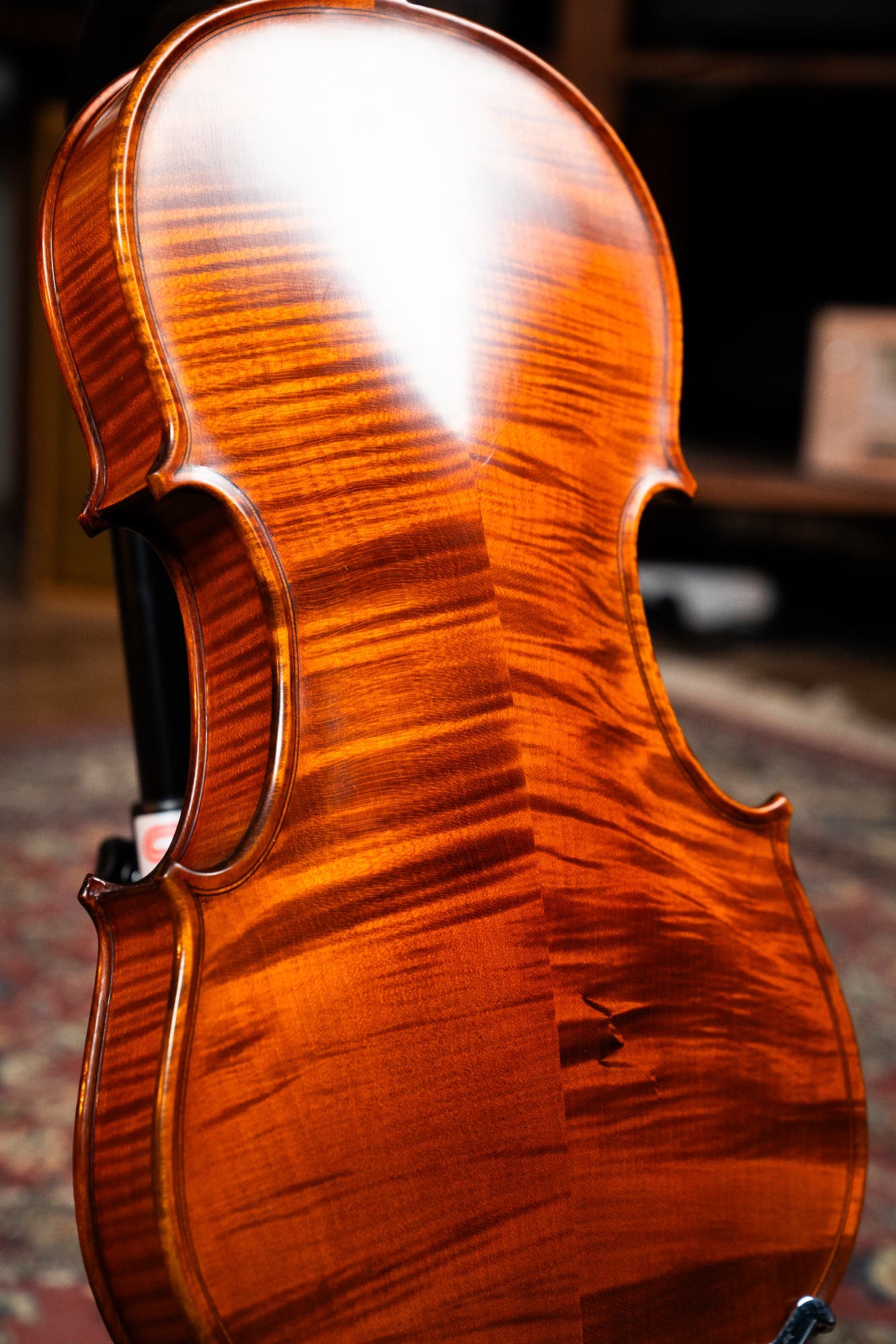 GLIGA 4/4 VASILE NO 5 VIOLIN PROFESSIONAL SETUP W/OPAL GOLD STRINGS (VIOLIN ONLY)