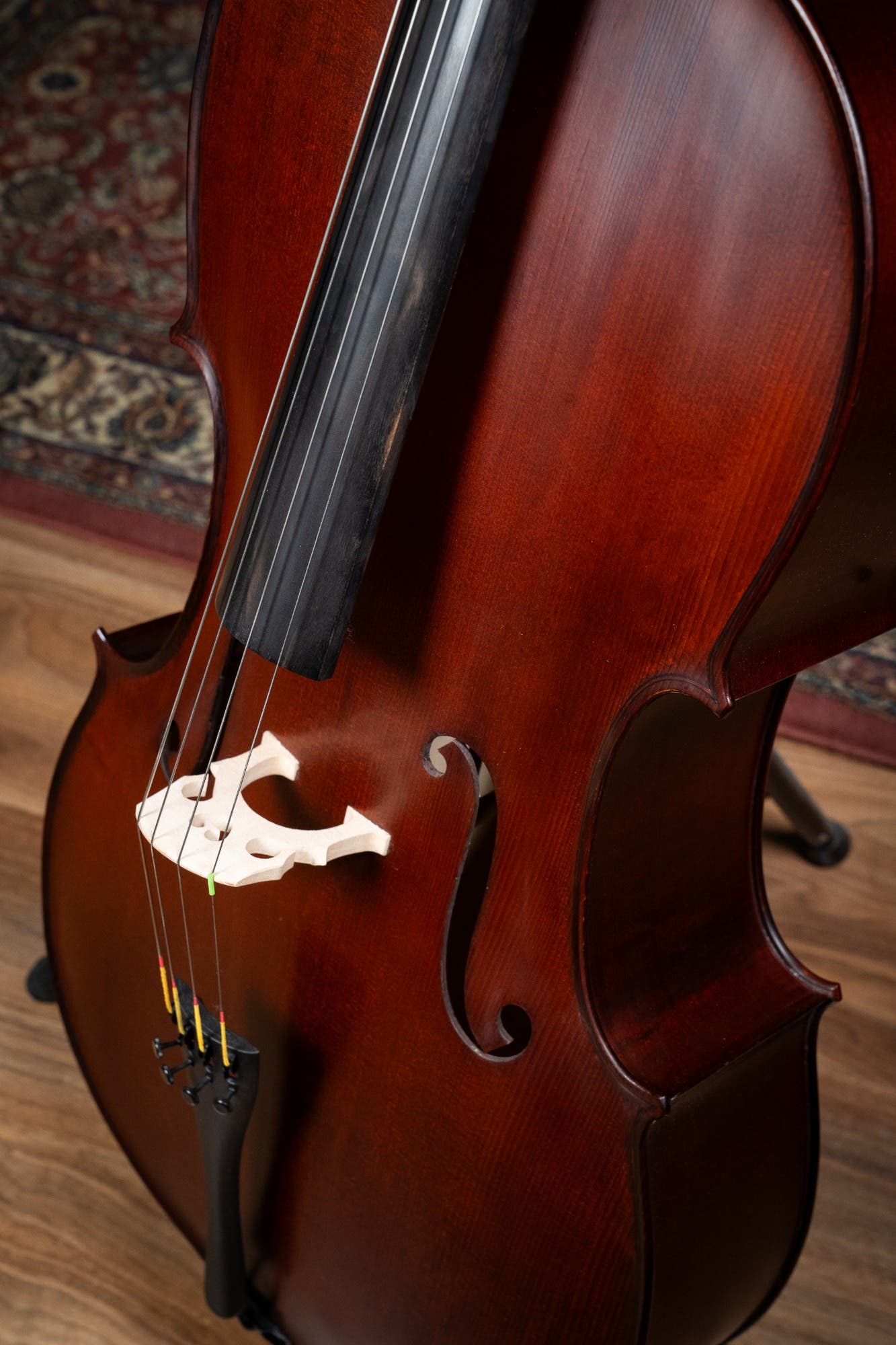 Gliga III 4/4 cello outfit - Oil Dark Antique