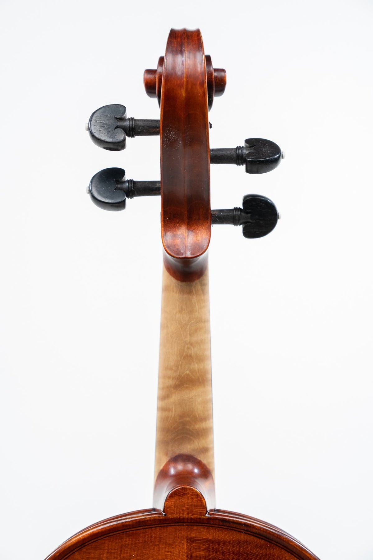 Gliga 4/4 Vasile No. 5 Violin - Professional Setup w/Opal Gold Strings (Violin Only)