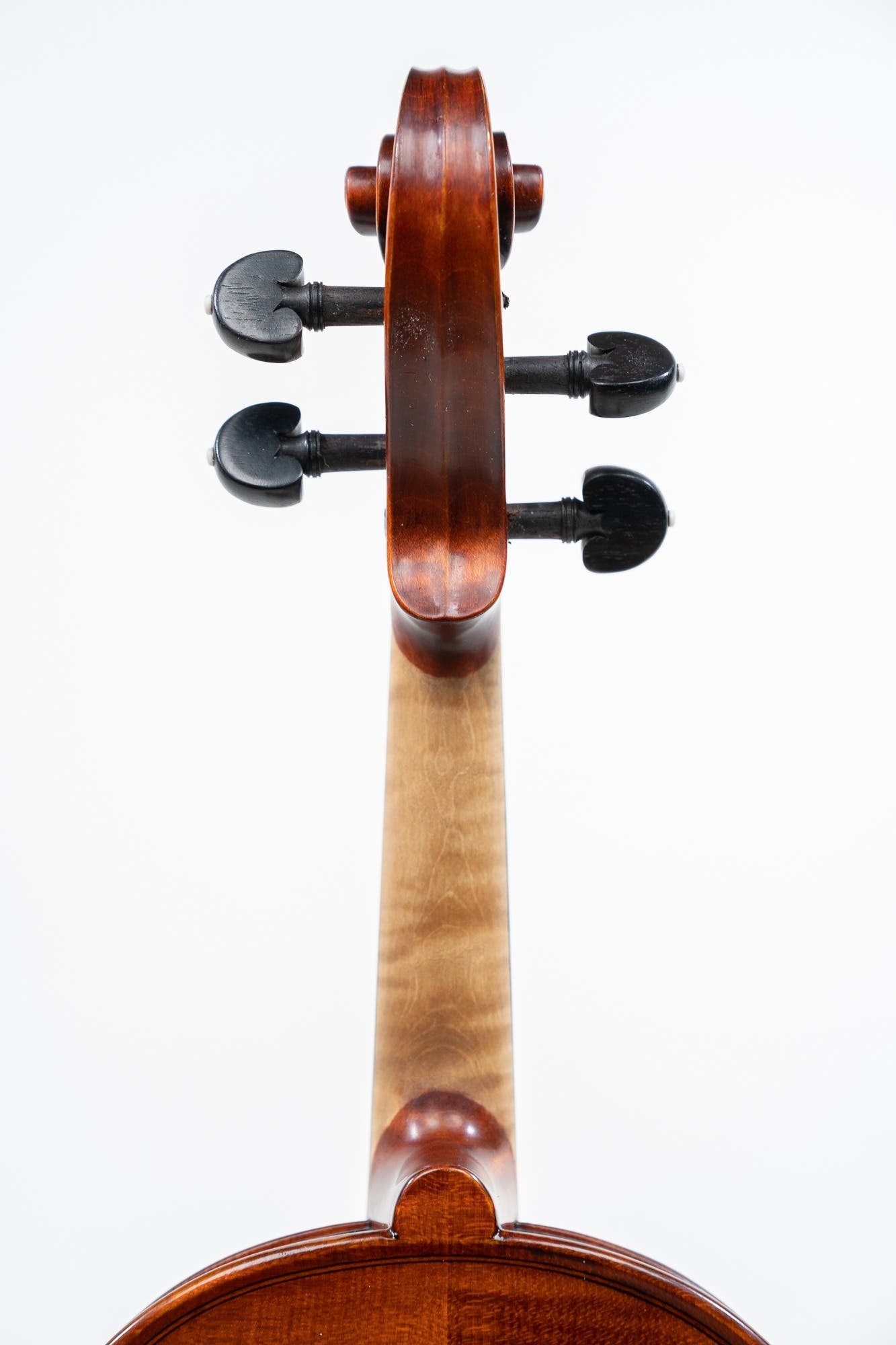 GLIGA 4/4 VASILE NO 5 VIOLIN PROFESSIONAL SETUP W/OPAL GOLD STRINGS (VIOLIN ONLY)