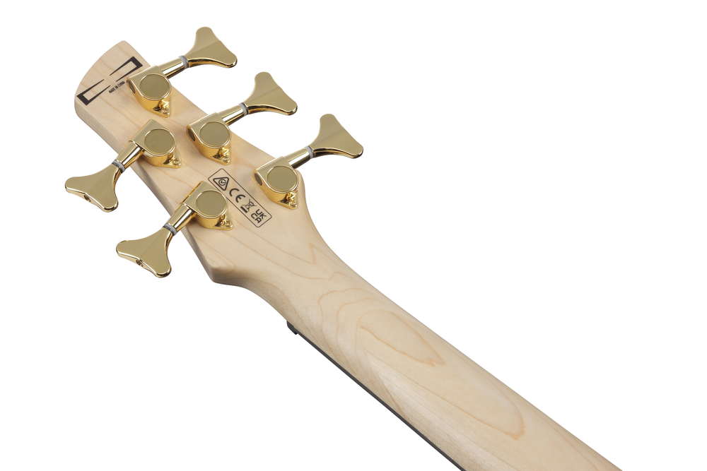 Ibanez GSR205PC Electric Bass - Transparent Marine Burst