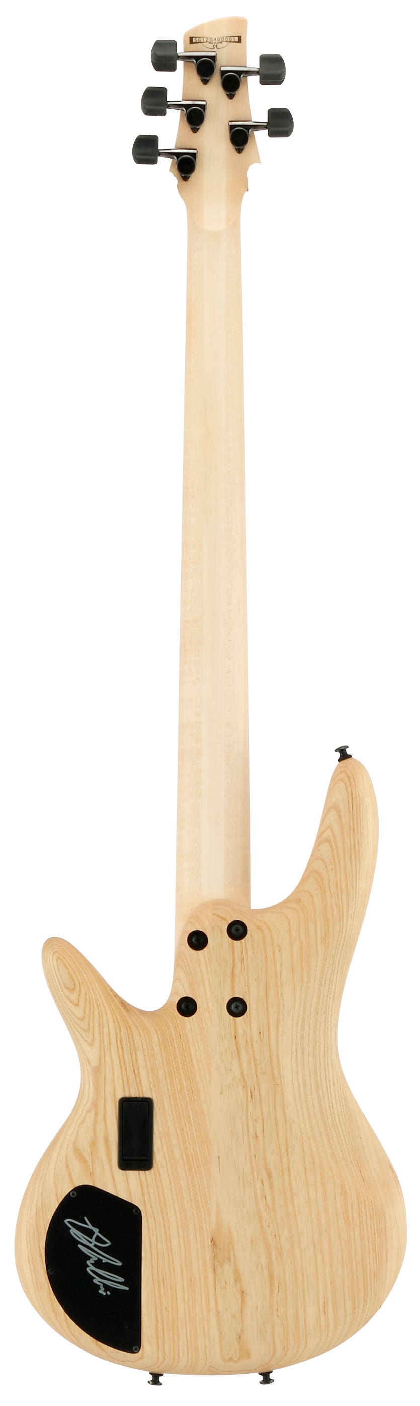 Ibanez GWB1005 NTF Gary Willis Signature 5-String Fretless Bass - Natural Flat