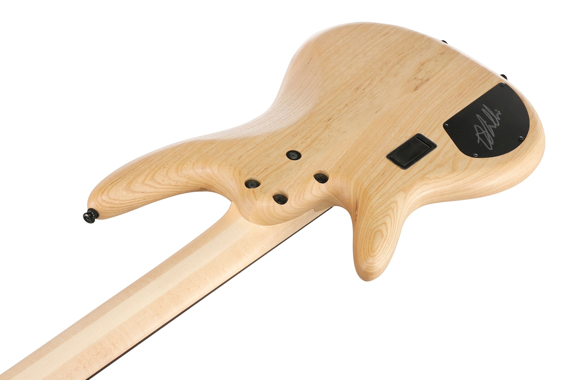 Ibanez GWB1005 NTF Gary Willis Signature 5-String Fretless Bass - Natural Flat