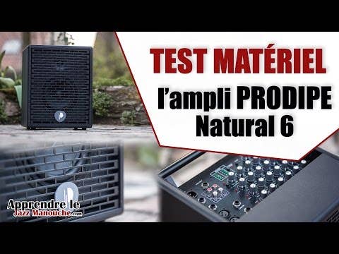 Prodipe Natural 6 Acoustic Instrument Amplifier w/ 4-inputs and Effects + Bag - Cherry Wood