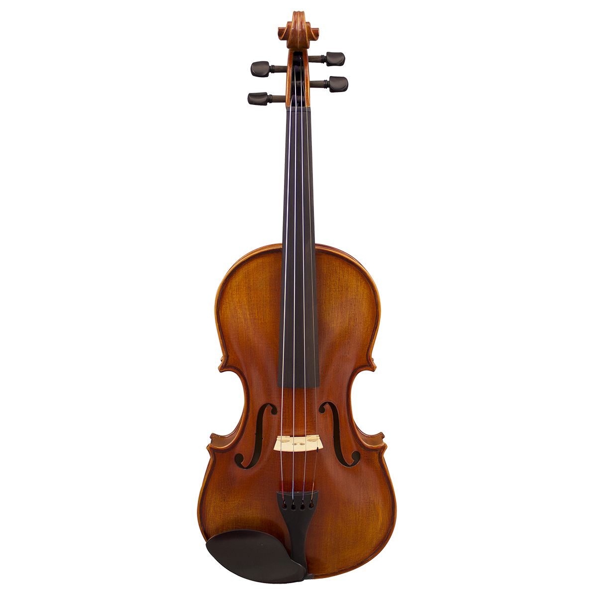 Hidersine Finetune Vivente Academy 4/4 Violin Outfit