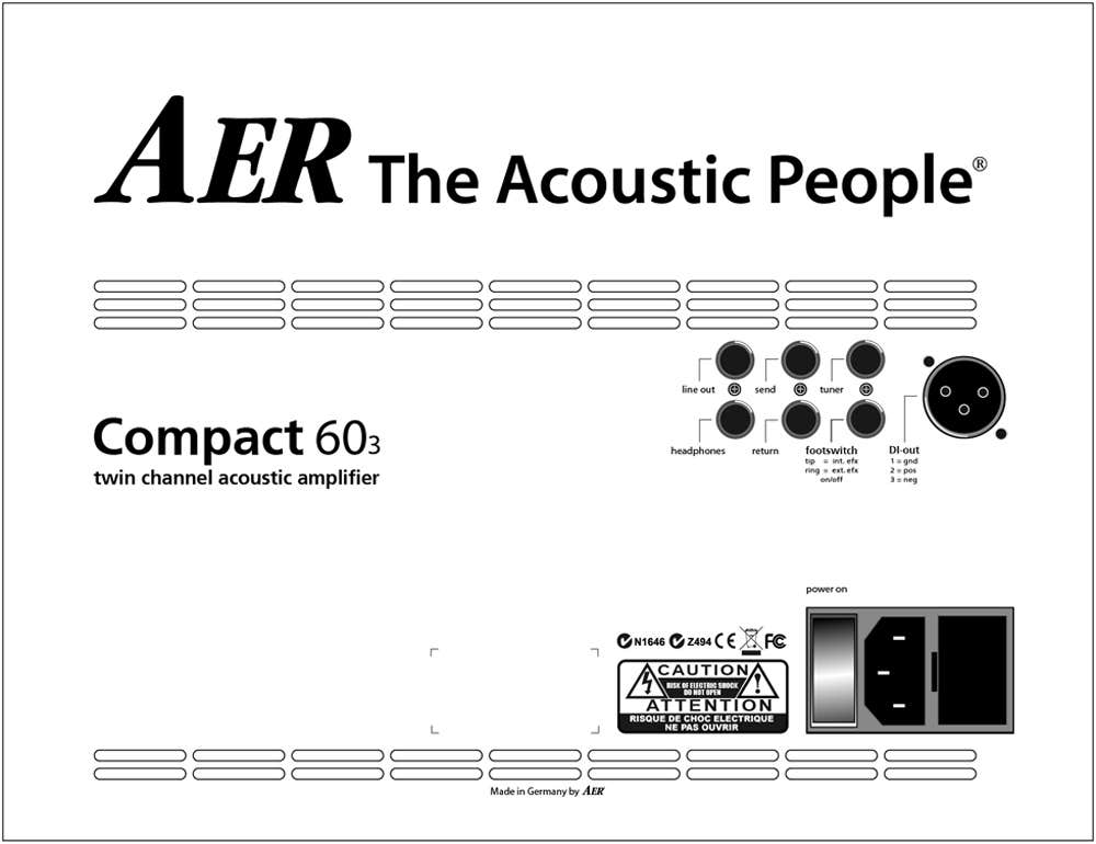AER Compact 60 Acoustic Guitar Amp - Stained Oak